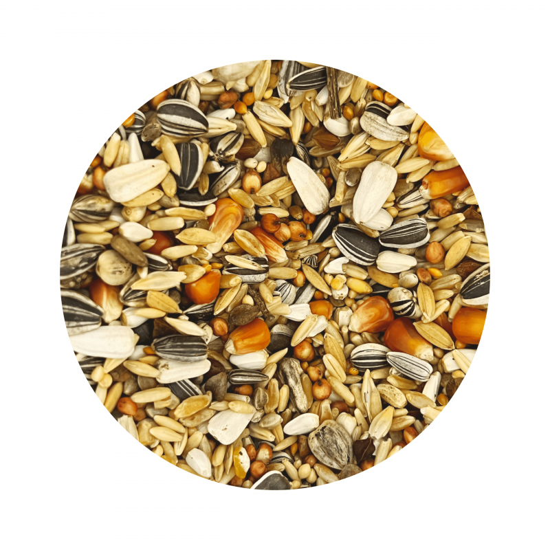 AMAZON PARROT FOOD, AMAZON IRISZ, 1.5KG