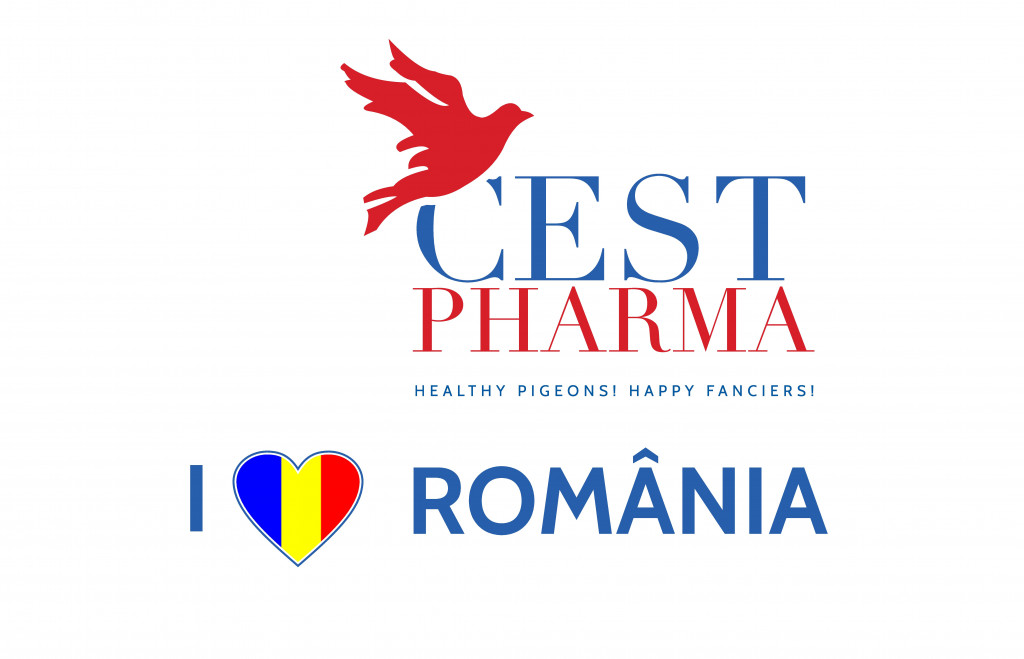 Suntem împreună pe drumul către succes!