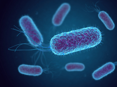 Rolul antibioticelor în organism